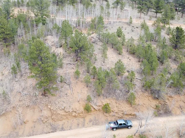 381 Neish Street, Bailey, CO 80421