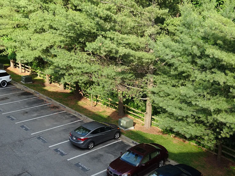 Reserved parking spot