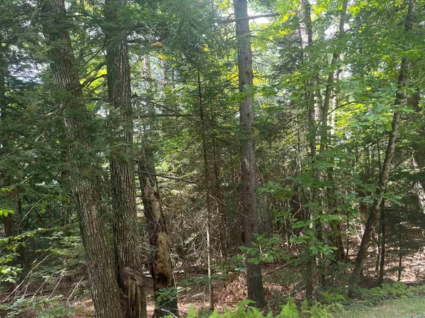 50 Longwood Drive, Grantham, NH 03753