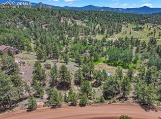 710 S Mountain Estates Rd, Florissant, CO 80816