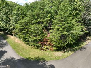 123 Edinborough Ct, Ellijay, GA 30536