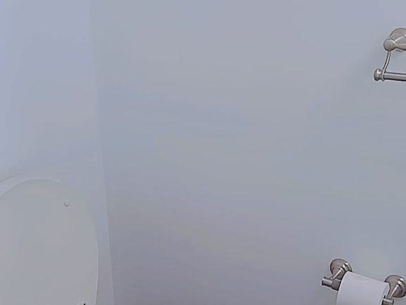 1_ toilet