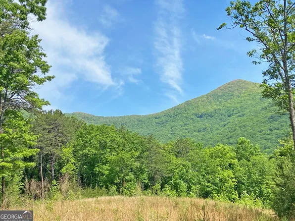 105AC Jack Walker Rd, Dahlonega, GA 30533
