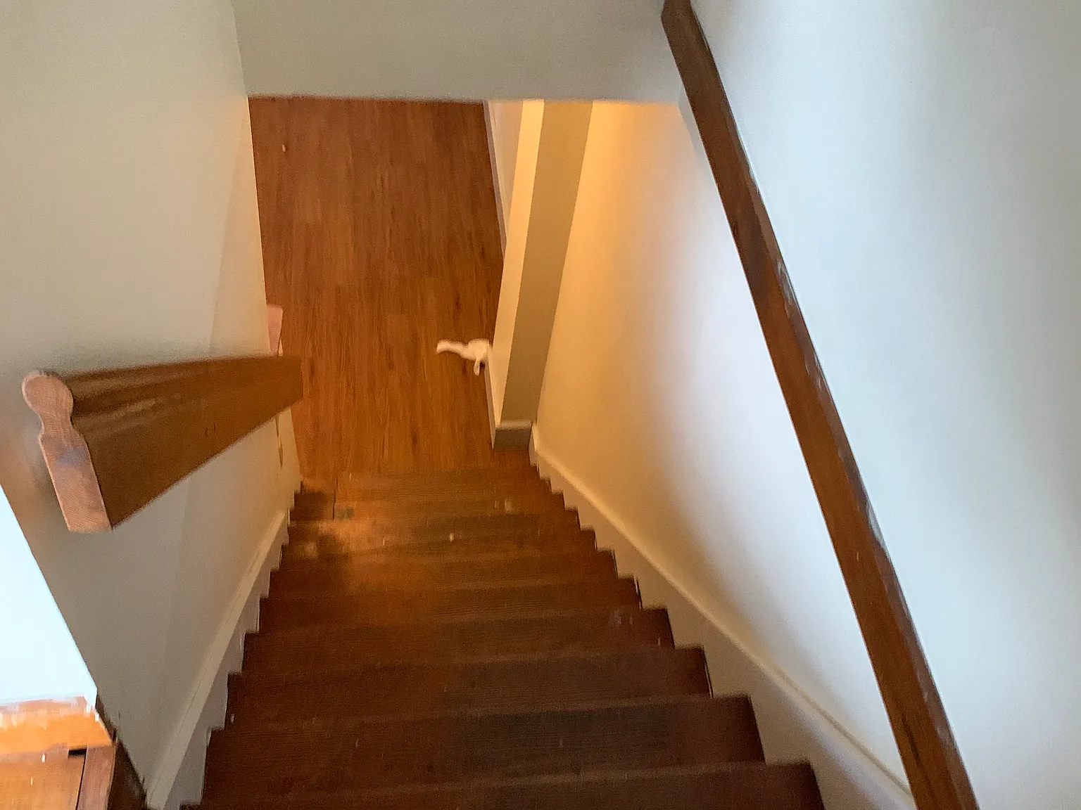 1 bed, $795 — Photo 4