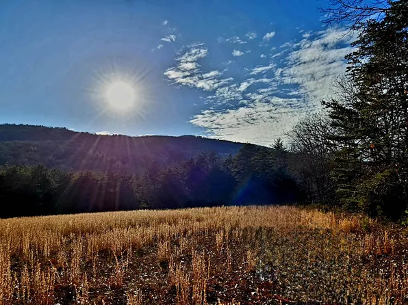 Reesedale Rd, Elliston, VA 24087