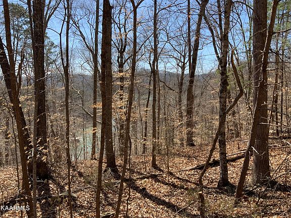 2nd image of L-94 Hidden Cove Ln