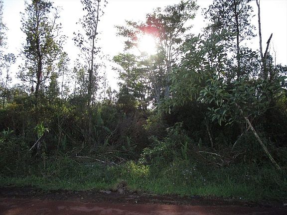 4th image of Coconut Dr