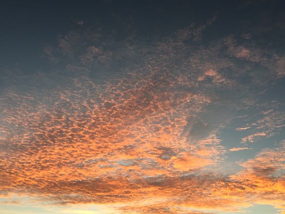 Desert sunsets from backyard