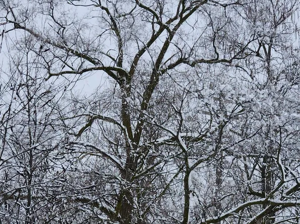 3978 16th St, Detroit, MI 48208