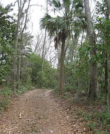 4th image of 1-LOT 1 Scanawah Trl