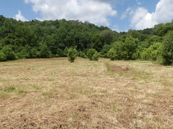 0 Lonnie Reecer Rd, Celina, TN 38551