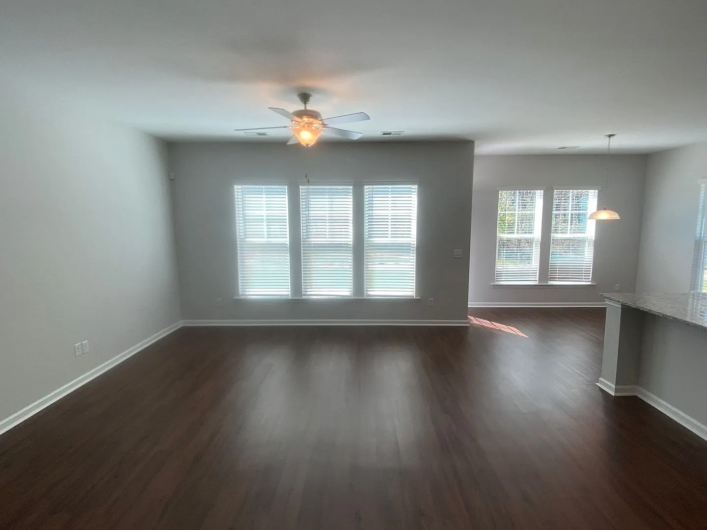 Spacious 4 Bedroom - great location in Pooler, Ga!! — Photo 2