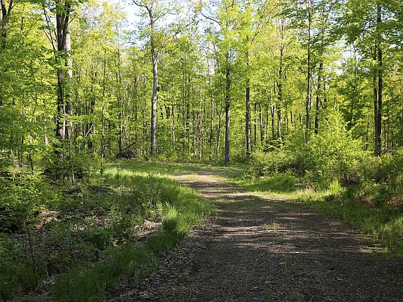 5th image of Konsella Rd