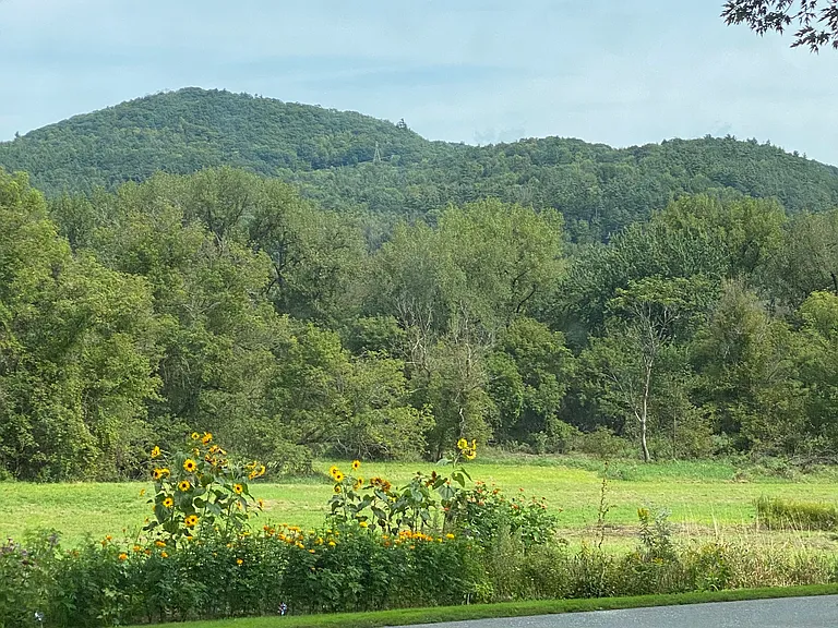 Cochran Rd — Photo 3