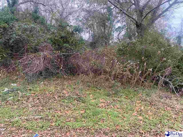 327 S 1st St, Florence, SC 29506