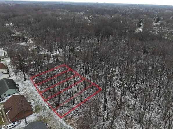 Mapleview Ave, Sheffield Lake, OH 44054