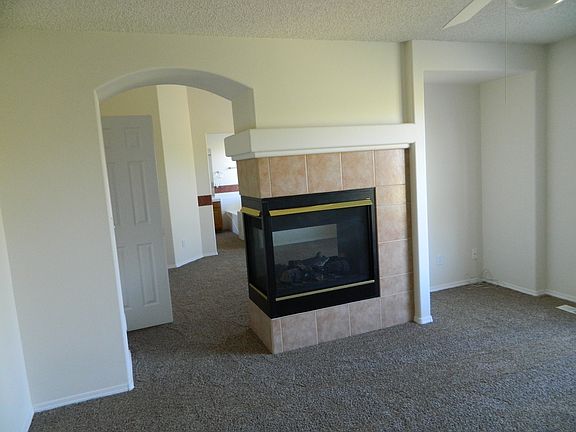 Master Bedroom Fireplace