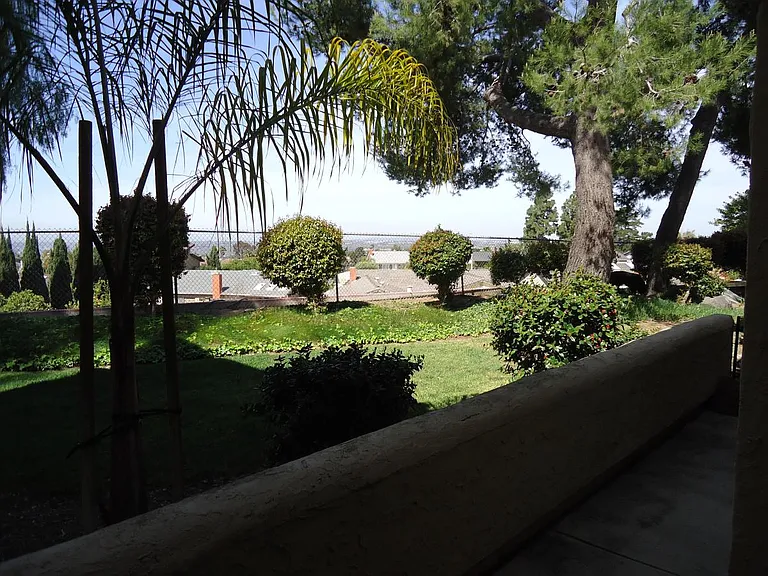 View from Back of Unit