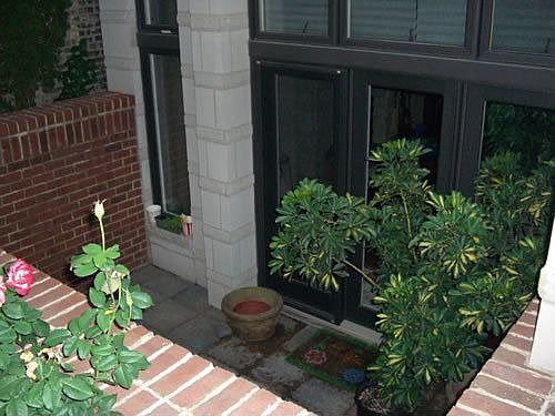 1st image of 1922 W Armitage Ave #P-1
