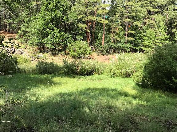 3rd image of 193 W Pine Shadow Dr