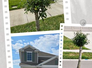 4230 Pebbles Throw Dr, Kissimmee, FL 34746