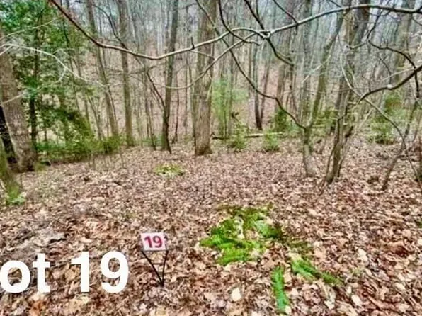 19 Woods Haven Ln #19, Stuart, VA 24171