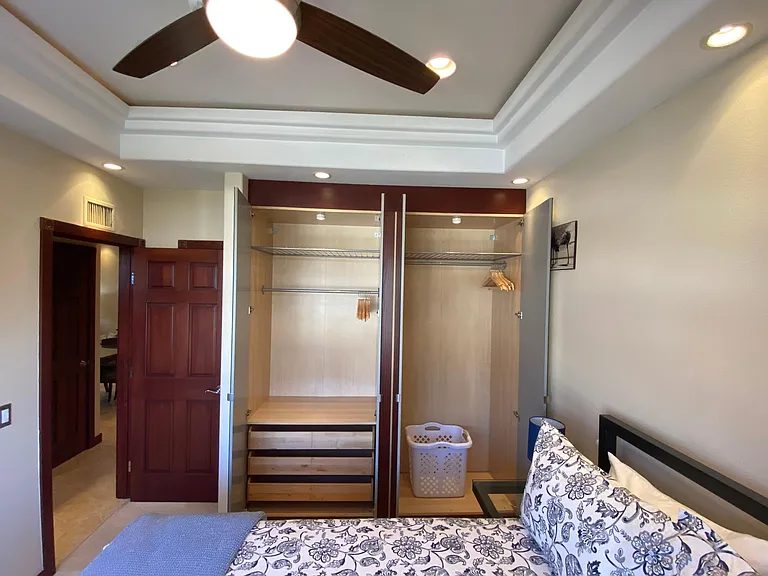 Guest closet with organizers