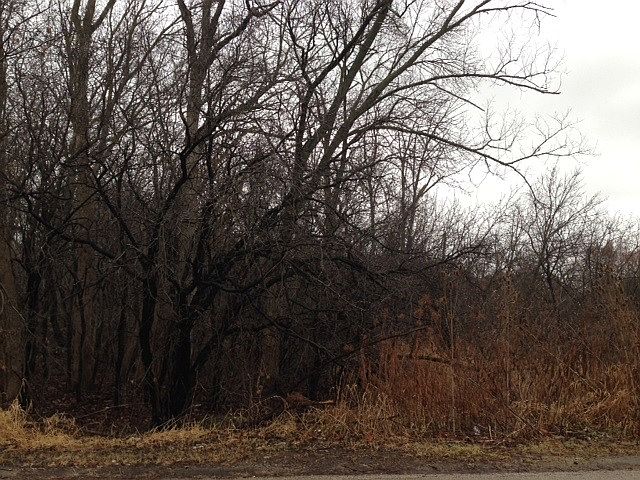 2nd image of County Line Rd
