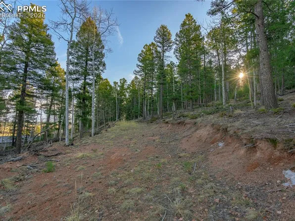 88 Malmsey Ln, Divide, CO 80814