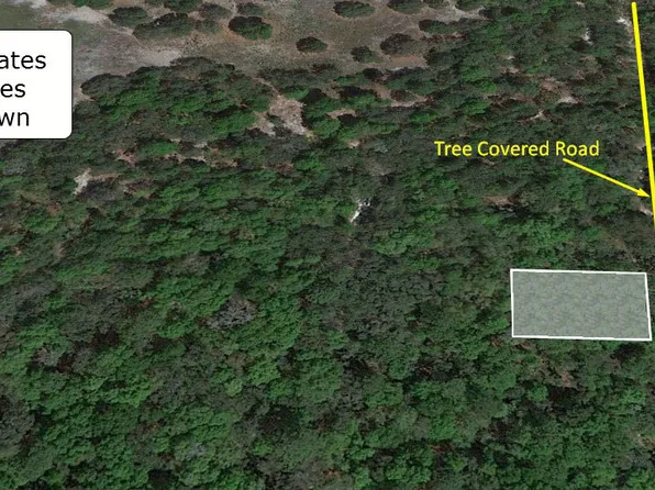 3950 S Ibis Point, Inverness, FL 34450