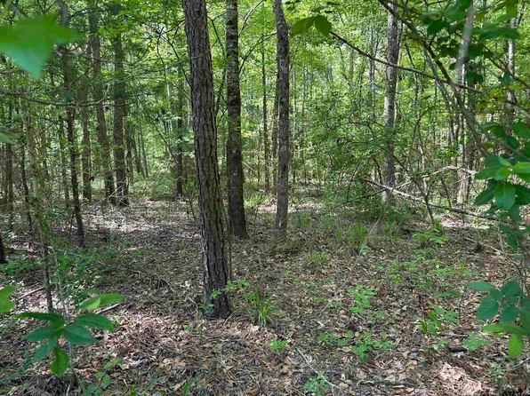 23830 Highway 64 E, Troup, TX 75789