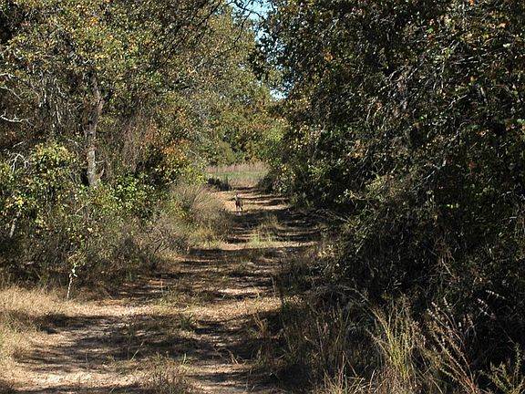 3rd image of 808 County Road 165