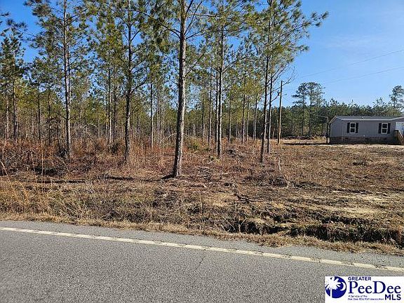 3rd image of 4067 Step Rd
