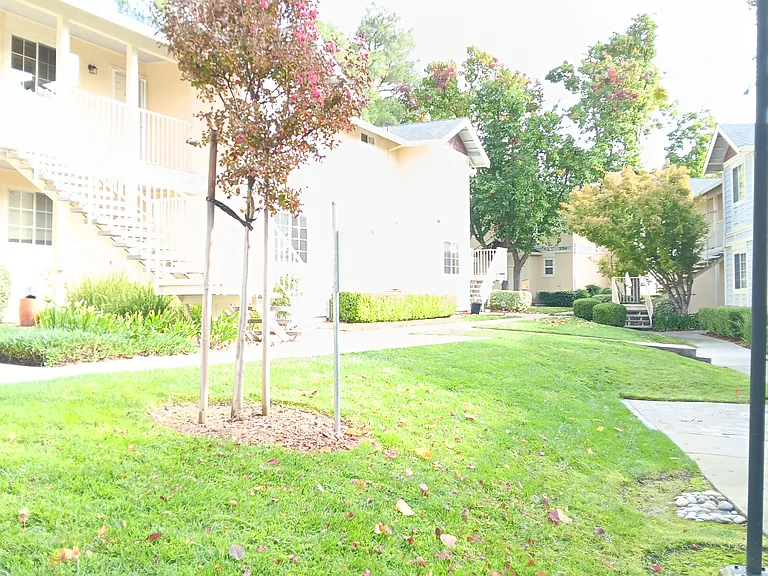 Building with Lawn Area