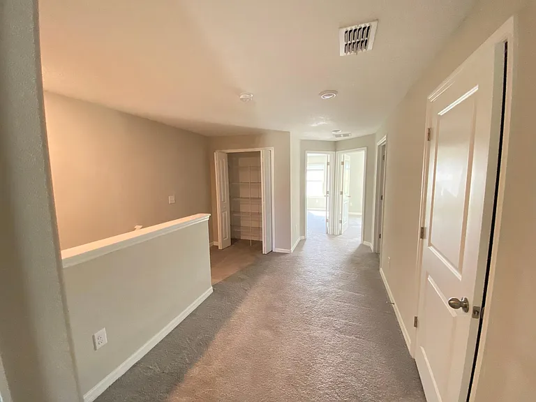 3810 Cat Mint St — Photo 8