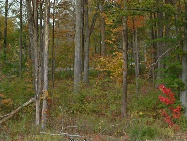 1st image of Shingle Mill Dr