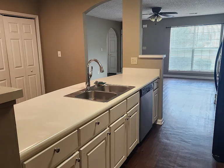 739 Hynds Springs Dr — Photo 8
