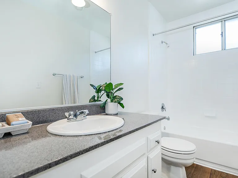 Hampshire Square Apartment Homes — Photo 17