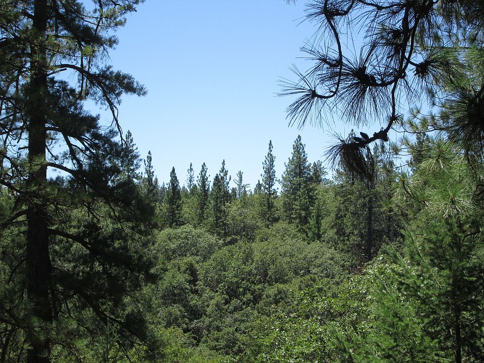 1st image of 1185 Sierra Dawn Ln