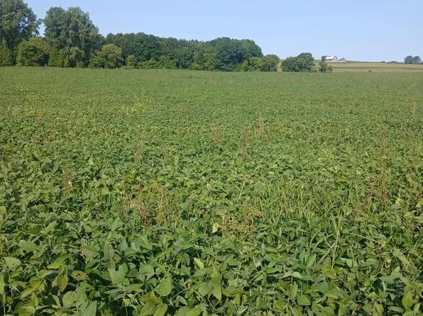 Lt0 COUNTY ROAD T, Whitelaw, WI 54247