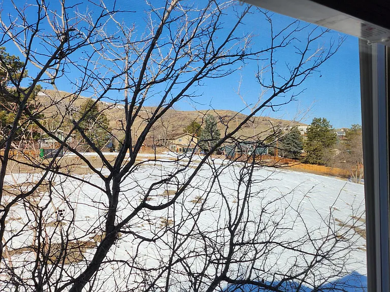 view from 2nd bedroom