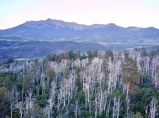 6 Little Lake Ranch Dr Lot 6, Placerville, CO 81430