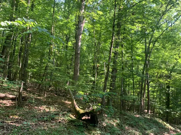 Hillcrest St, Rogersville, TN 37857