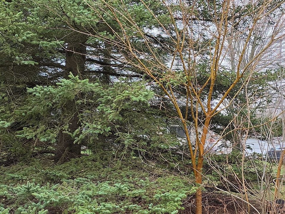 2nd image of 3411 N Mill Rd