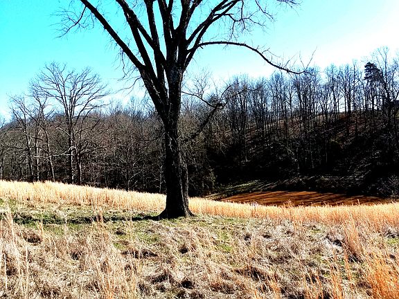 4th image of 249 Private Road 3290 #15