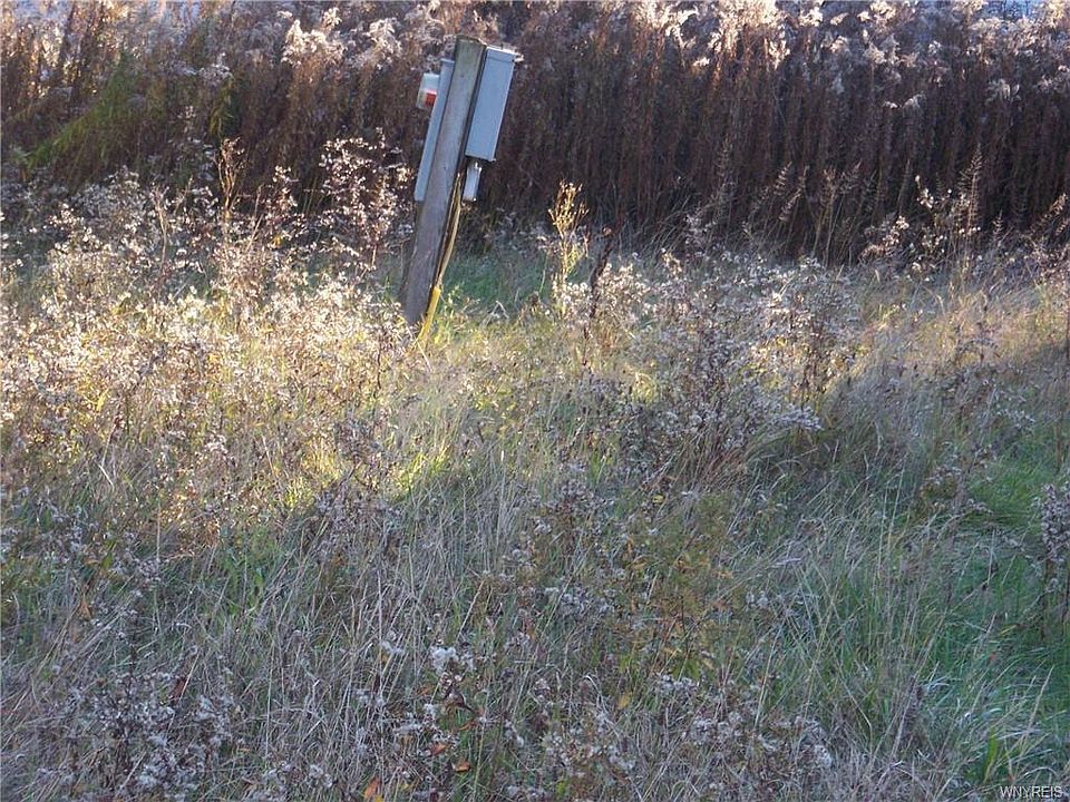 2nd image of 1956 Hartland Rd