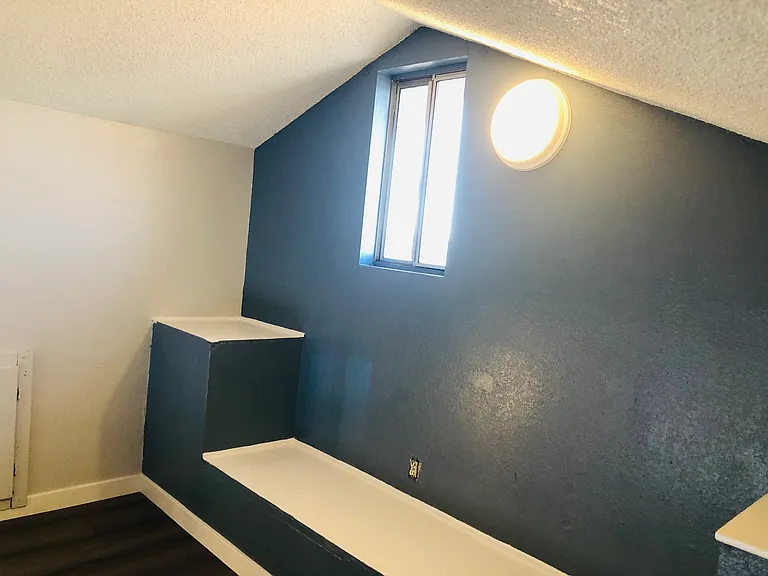 12141 Pluto Dr — Photo 3