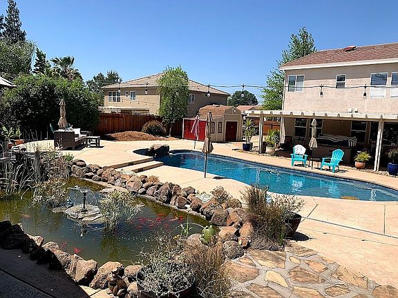 Pond and Pool 