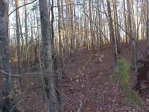 5th image of Long Shoals Ave Lot 35