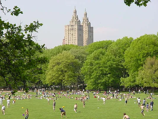 Rented by Aida Real Estate Sales | media 26